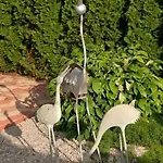 Hochwertiges Steffi Mit Terrasse By Interhome * Balatonberény